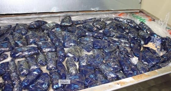 " الأمن المصري " يحبط محاولة تهريب مخدرات للمملكة