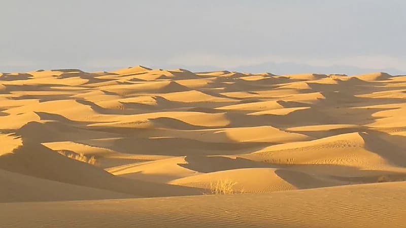 العثور على جثث 5 شبان فقدوا حياتهم أثناء التنقيب غير القانوني عن الذهب