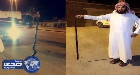 مواطنون يناشدون الجهات الأمنية بالتدخل لانتشار الثعابين السامة في الأفلاج