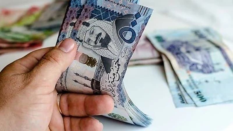 مختص يوضح تأثير رفع الفائدة على أداء قطاع البنوك في المملكة