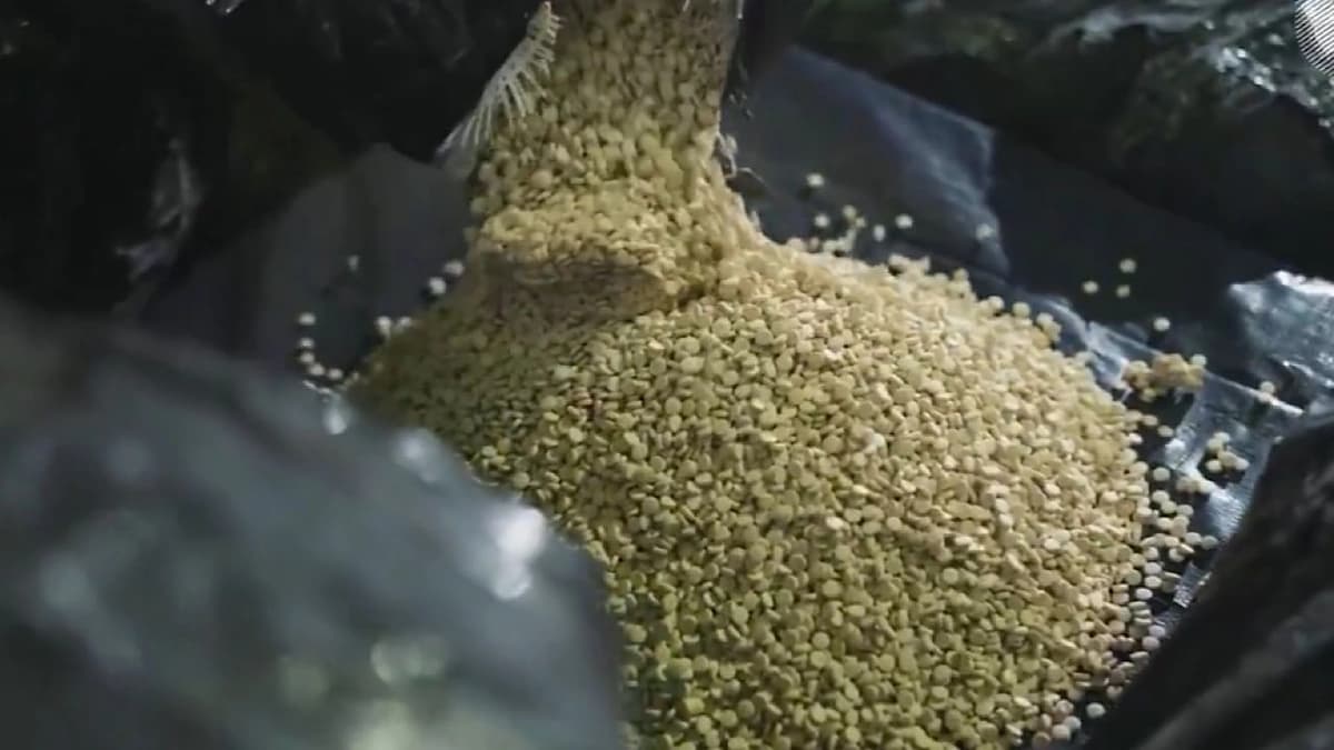 إحباط تهريب أكثر من 5.3 مليون حبة من الإمفيتامين المخدر مخبأة في إرسالية فحم.. فيديو