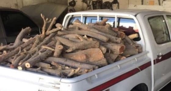 الاحتطاب الجائر يهدد شرق أحد رفيدة