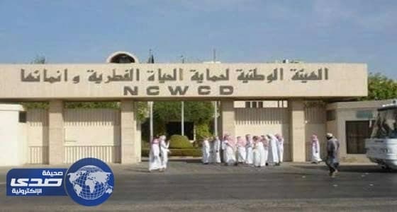 هيئة الحياة الفطرية تعلن عن وظائف شاغرة