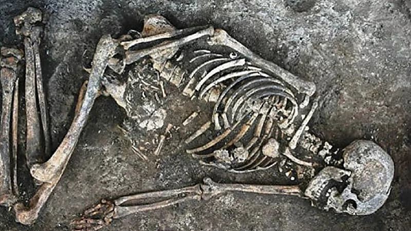 العثور على هيكل عظمي لفتاة مقتولة في منزل أسرتها