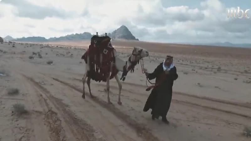 بالفيديو.. الشقيري يكشف عن سر احتماء العربي بالإبل ليلا في الشتاء القارس