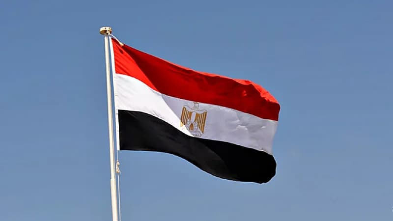 الصحة المصرية: جدري القرود نادرًا ما ينتقل بين القارات