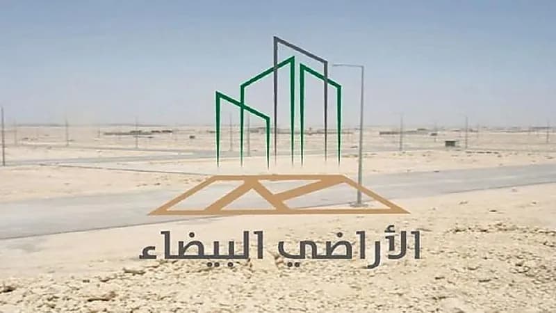 مجلس الوزراء يوافق على تعديل اللائحة التنفيذية لنظام رسوم الأراضي البيضاء