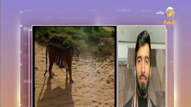 شاهد.. فعاليات مواسم السعودية ودورها في صناعة السياحة