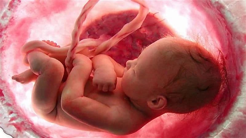 حالة نادرة.. اكتشاف جنين داخل بطن رضيع عمره ٤٠ يوم