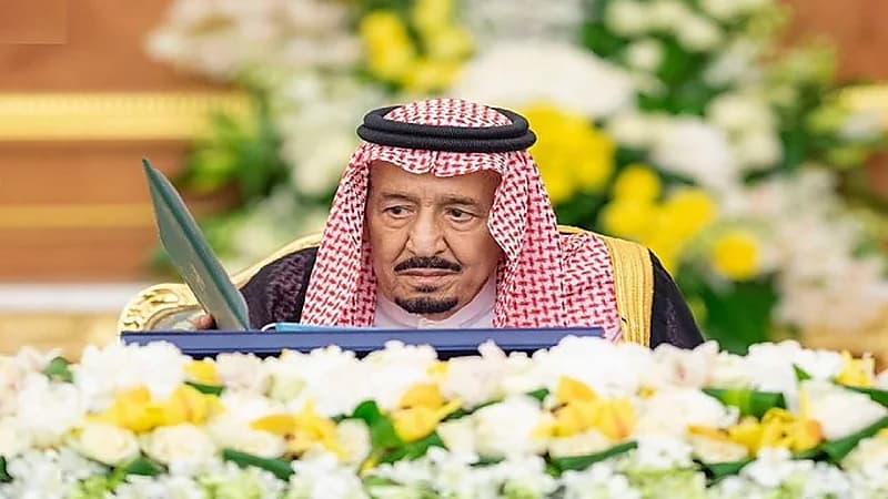 تفاصيل قرارات مجلس الوزراء