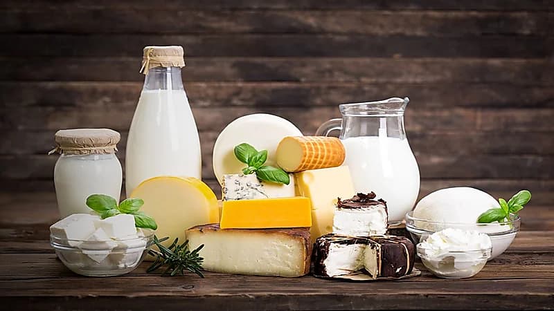 تناول منتجات الألبان يعزز الهضم في رمضان