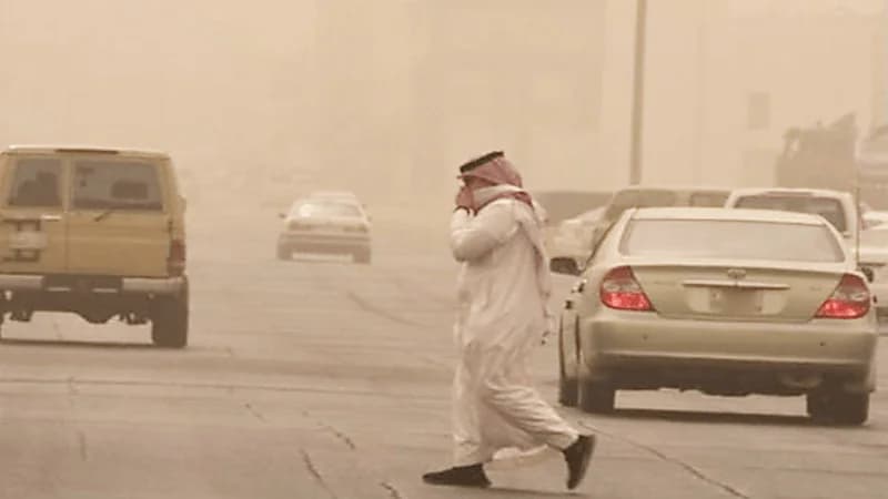 عوالق ترابية على محافظات المويه وتربة والطائف