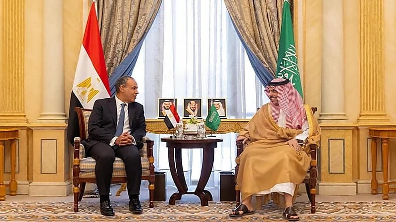 وزير الخارجية يستقبل وزير خارجية مصر.. فيديو