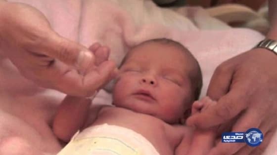 بالفيديو.. كارثة قطرية عبر " الجزيرة " محلل صهيوني يهاجم الفلسطينيين: " زناة ويشربون الخمر "