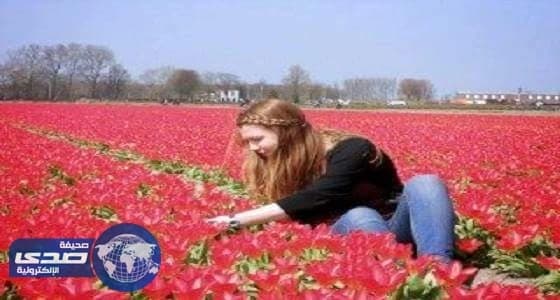 أشهر 10 دول إنتاجاً وتصديراً للزُّهور