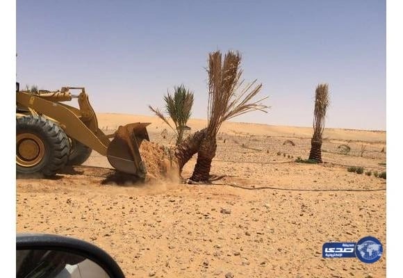 إزالة تعديات على أراضي حكومية تقدر بـ 3 ملايين م2 بالجوف