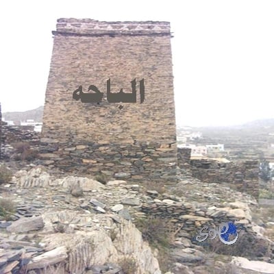 طعن شاب في مضاربة جماعية بعقيق الباحة.. والشرطة تحقق