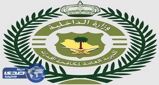 بالتنسيق مع الأمن الإماراتي المملكة تحبط تهريب 9 ملايين قرص أمفيتامين