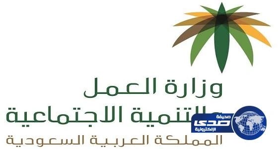 العمل: التحقيق فى فصل 6 موظفين بشركة خاصة برسائل «sms»