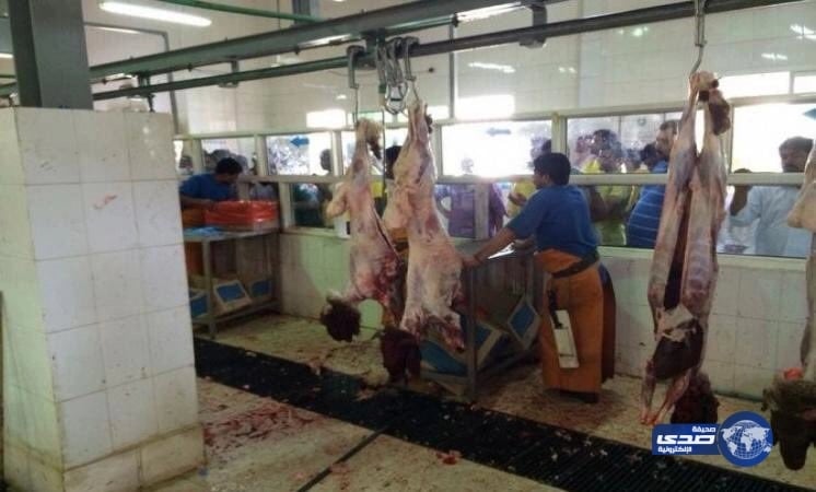 أمانة الرياض تلزم المطابخ بتثبيت أسعار خدمة ذبح الأضاحي