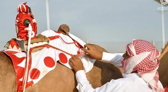 النيابة العامة : تمكين المدين المفلس من تعظيم أصول التفليسة وتنظيم أوضاعه