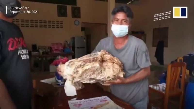 متحدث الموارد البشرية يوضح فوائد اعتماد جدول المخالفات الجديد