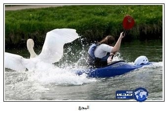 حقيقة إلغاء نشاط التربية البدنية في مدارس البنات