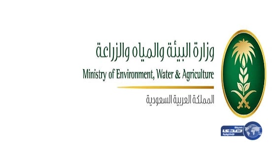 مصدر : تحديد أسعار المواشي ليس سهلا .. وإنخفاض الأسعار لم يتجاوز 30%