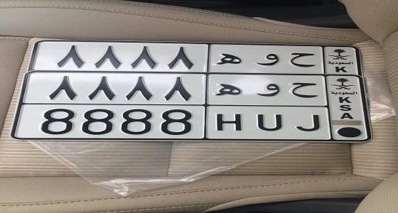 بالصورة.. اللوحات المراد بيعها بمزاد المدينة