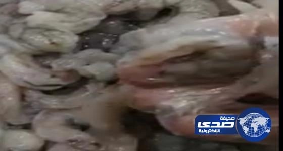 ضبط مخالفات بمطعم شهير المأكولات البحرية بالخفجي