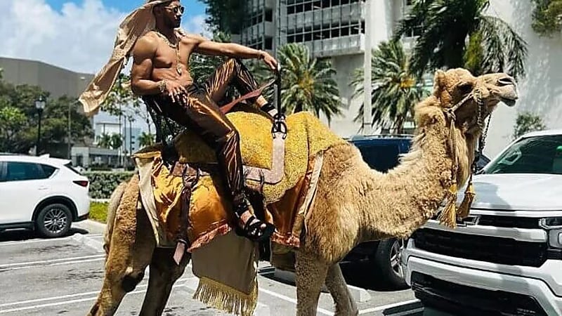 محمد رمضان يتجول بجمل عربي في شوارع ميامي