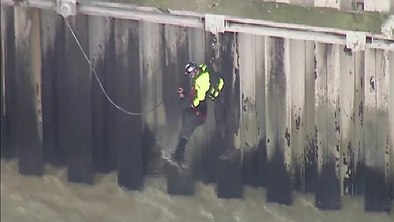 شاهد.. أحد رجال الدفاع المدني ينقذ غريقاً في بحر لوس أنجلوس بطريقة دراماتيكية