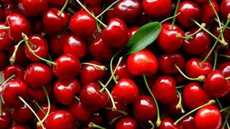 هذه فاكهه تضر الحامل علي الرغم من فوائدها