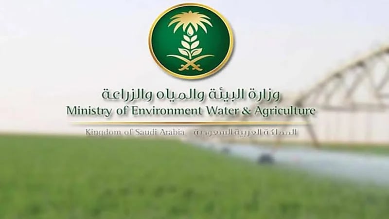 «البيئة» تكشف موعد توقف الخدمات الإلكترونية على موقعها