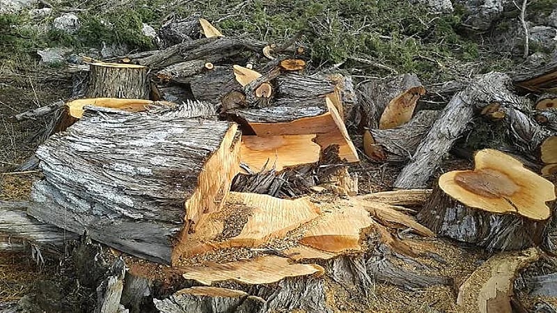 إنذار بكارثة بيئية في لبنان