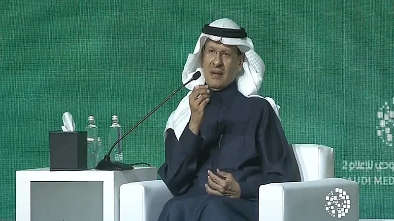 بالفيديو.. وزير الطاقة: يحزنني حال بعض الوزراء الذي يرى أنه "القائد المحنك والملهم"