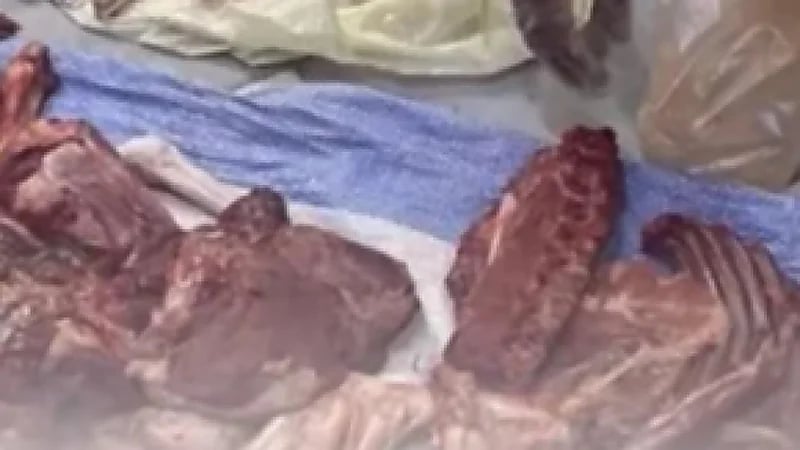 ‎أمانة نجران تضبط 1782 كيلو جراماً من اللحوم الفاسدة