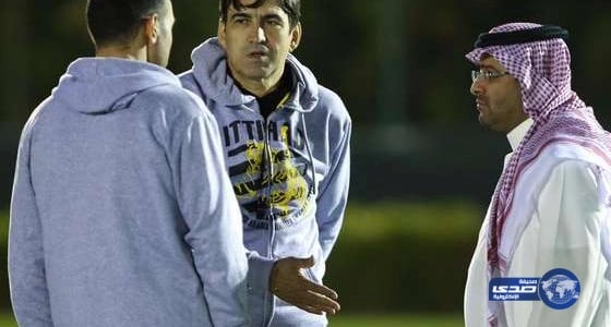 الجمال السائبة تزعج مرتادي طريق قنونا