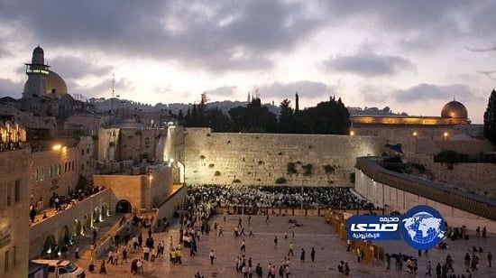 بالصور.. لبؤة تتبنى نمرا صغيرا وترضعه بدلاً من قتله