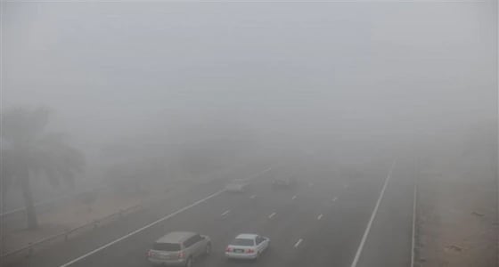الإنذار المبكر يحذر من تشكل ضباب يعيق الرؤية بأجزاء من المملكة