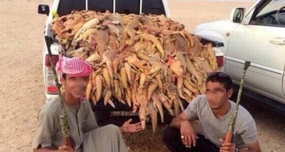 خبير يوضح دوافع مرتكبي " مذبحة الضبان "