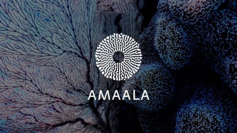 مشروع أمالا السياحي يوفر وظائف شاغرة لمختلف المؤهلات