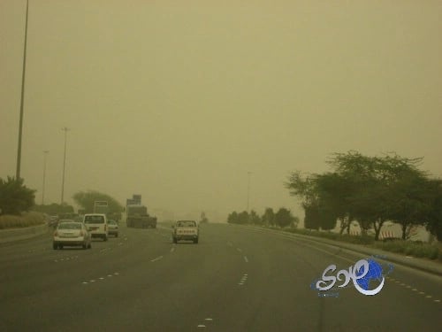  "الأرصاد": موجة الرياح والغبار تستمر على 8 مناطق حتى المساء