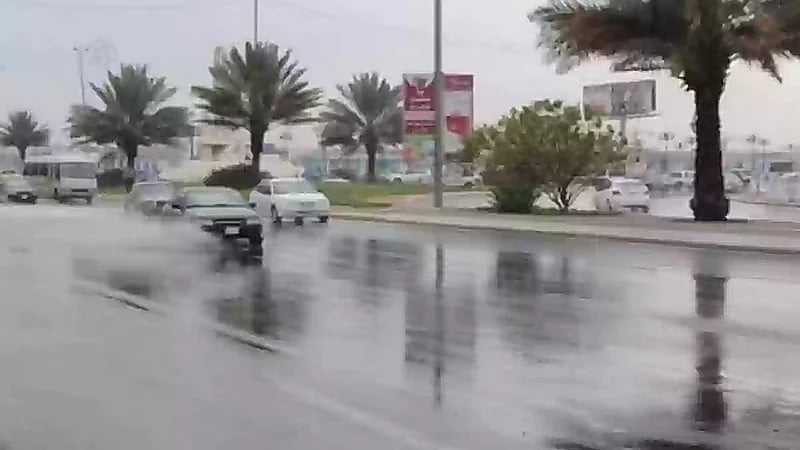 العقيل: بقي 41 يوما لدخول فصل الصيف ..فيديو