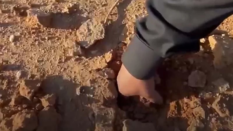 قرية السعيرة بحائل قبلة زراعة نبات "الفقع"