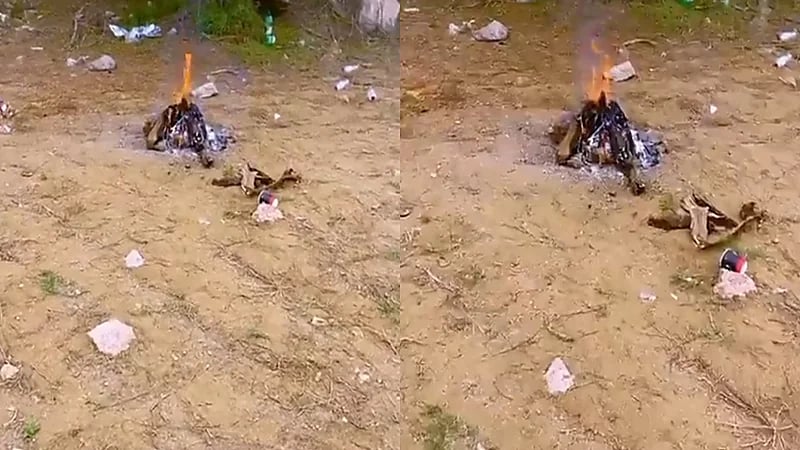 بالفيديو.. رصد نيران مشتعلة تركها زوار أحد المتنزهات في تنومة