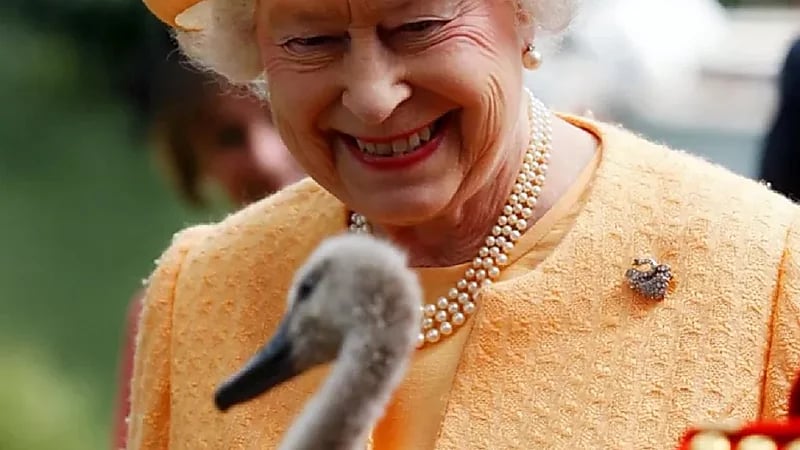بجع وقبعات.. ما المقتنيات التي تركتها الملكة إليزابث لتشارلز