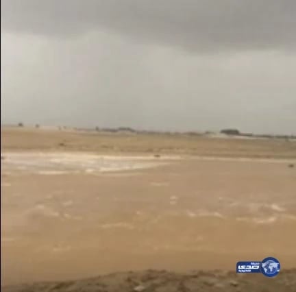 بالفيديو.. الأمطار تتسبب في جريان وادي بيش ومعاناة الأهالي تتجدد