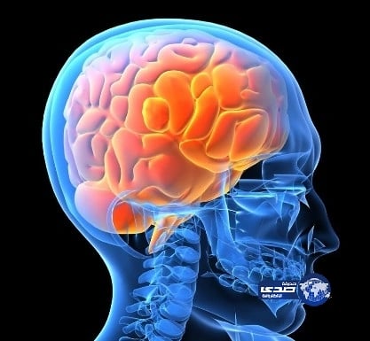 دماغ الإنسان مبرمج للتفاعل مع "الأحبة"