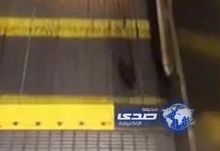 بالفيديو : فأروقع ضحية سلم كهربائي